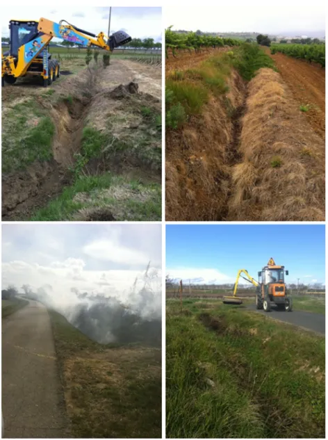 Fig. 1 Ditch maintenance. Ditch maintenance is a combination and a succession in time of four basic operations namely dredging, mowing, chemical weeding, and burning