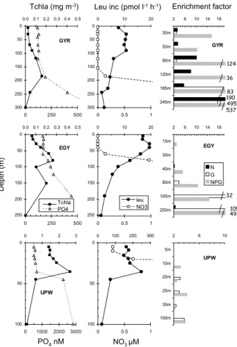 Fig. 5. Distribution of in situ chlorophyll a, leucine incorporation rates, nitrate and phosphate concentrations along vertical profiles, at sites GYR, EGY and UPW and responses to bioassays