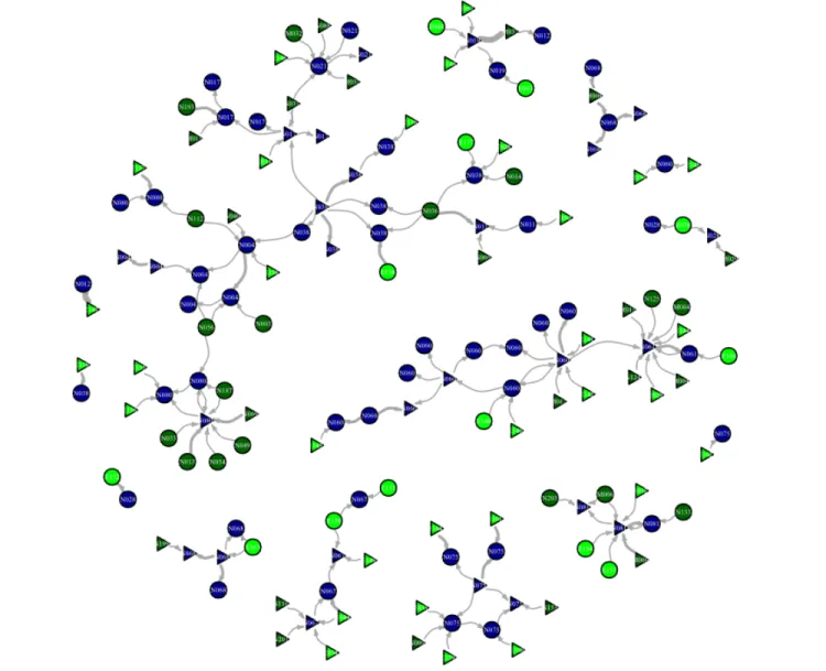 Fig. 1. Documented seed acquisition network. Blue, interviewed individuals; dark green, identified sources within the village; light green, identified sources outside the village