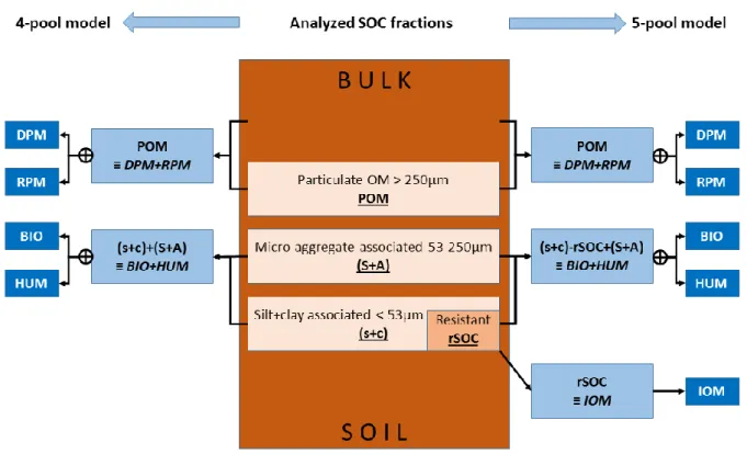 Figure 1- Analyzed SOC fractions (Stewart et al., 2008;  Doetterl et al., 2015)  and conversion to four-pool and five-pool 