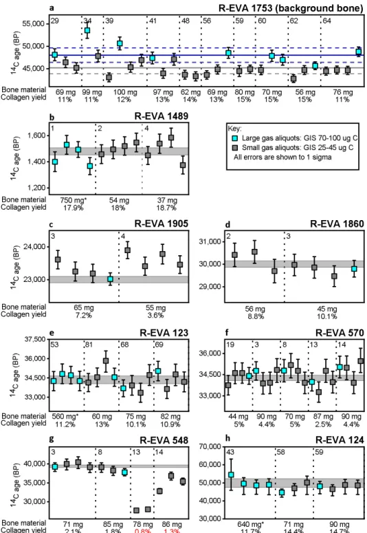 Figure 3.  14 C gas measurements of small (25–40  μ g C) and large (70–100  μ g C) aliquots of collagen extracted from  eight bones (a–h) spanning the  14 C time range