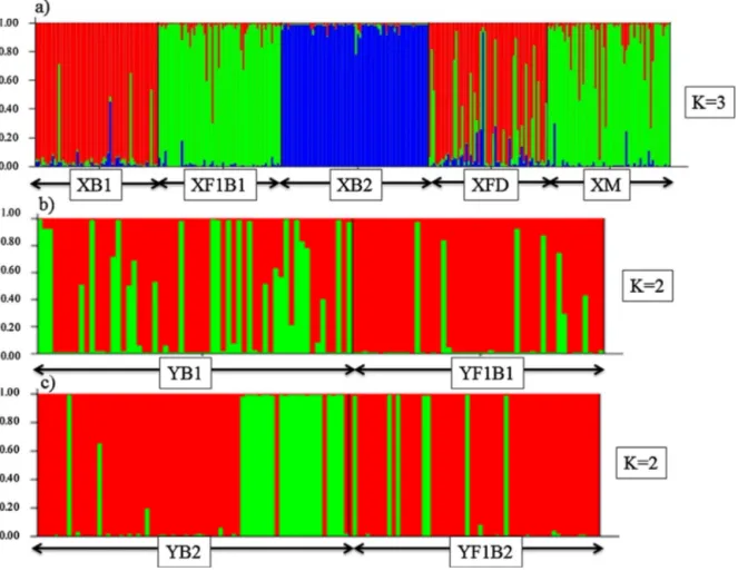 Fig. 2. Bayesian clustering analysis in STRUCTURE program for breeders-offsrpring combination in farm ‘Y’ and farm ‘X’