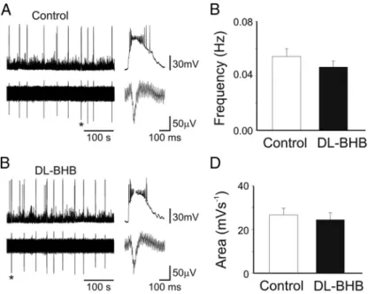Figure 4. DL -BHB does not alter spontaneous neuronal activity patterns at early postnatal stages in hippocampal slices
