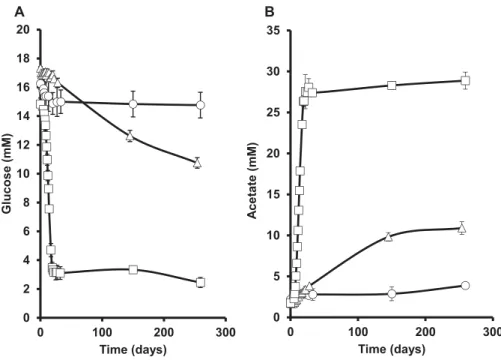 Fig. 1. A. Glucose consumption in pure culture of M. prima strain PhosAc3 in either the absence (circle) or presence (triangle) of elemental sulfur (S8) or in co-culture with D