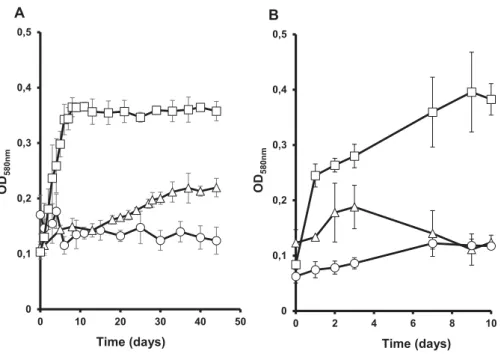 Fig. 2. A. Growth curves of M. prima strain PhosAc3 (triangle) and D. vulgaris (circle) in pure culture or in co-culture (square) in 20 mM glucose/