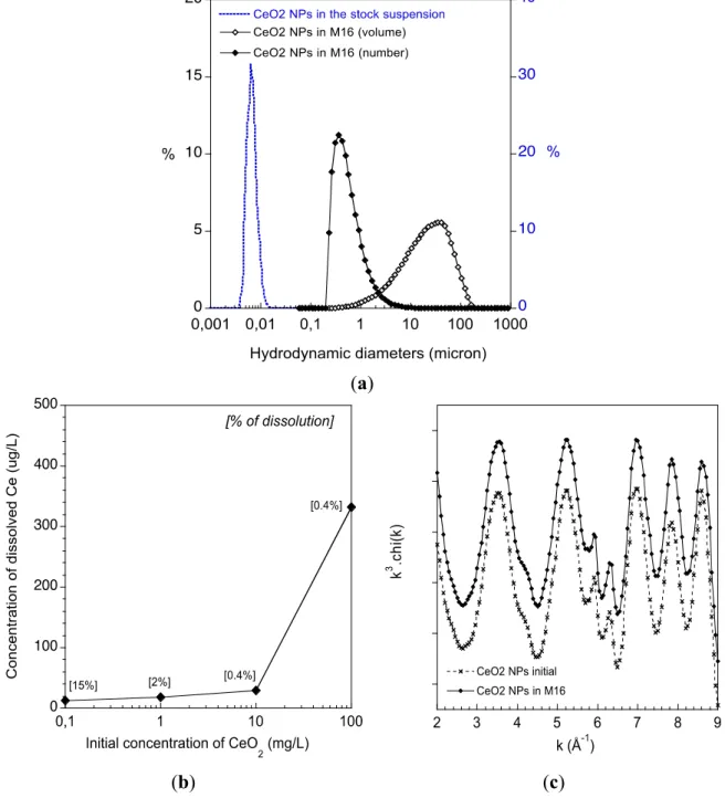 Figure 1. (a) Aggregation stage of the C e O 2  ENPs in the M16 medium. Distribution of the  hydrodynamic diameters of the C e O 2  ENPs in their stock suspension and after 2 h in the  M16 medium (expressed as a volume or number distribution); (b) Chemical