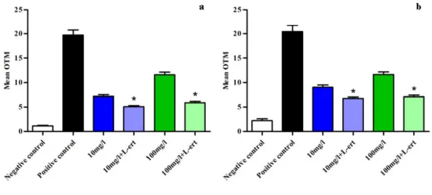 Figure 5. Reduction of DNA damage induced by C e O 2  ENPs using the comet assay after  adding an anti-oxidant agent ( L -ert =  L -ergothioneine) in culture media