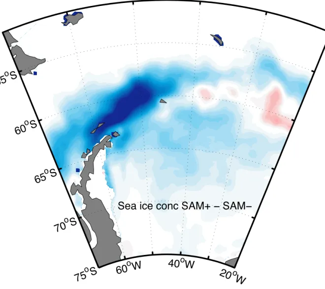 Fig. 5. Map of the correlation between the SR1b AABW salinity and the winter (JJA) sea ice concentration 18 months before in the western Weddell Sea