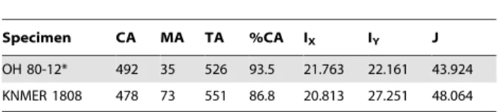 Table 3. Cross-sectional properties of femoral 50% sections of OH80 and KNM-ER 1808 (Homo erectus).