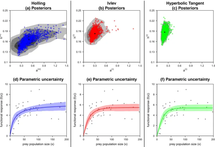 Figure 1. Results of the Markov Chain Monte Carlo estimate of parameters probability densities (posterior distributions) for each function