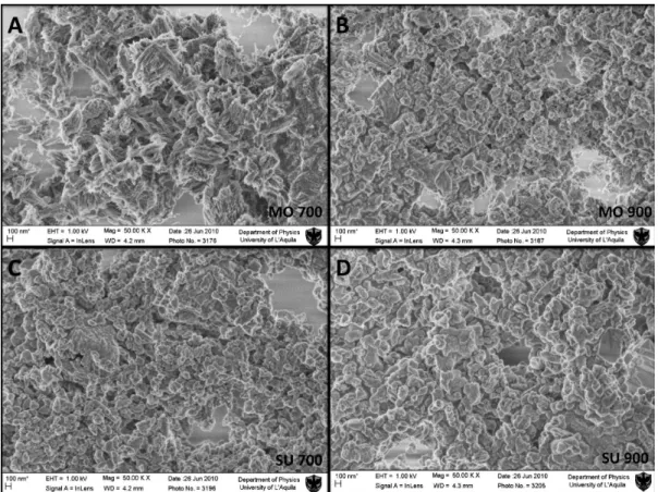Figure 1. Scanning electron microscopy images of the laboratory produced mortars (i.e., MO 700 (A) and MO 900 (B)) and the suspensions isolated by the same samples (i.e., SU 700 (C) and SU 900 (D)).