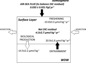 Figure 6. Annual surface layer carbon balance. Air-sea exchange re ﬂ ects the Weddell region (area 6.2 × 10 12 m 2 )