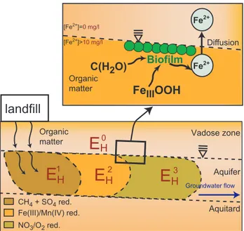 Fig. 4. Illustration of the development of redox zones in a plume associated with landfill leachate with E H1  &lt; E H2  &lt; E H3  &lt; E H0 