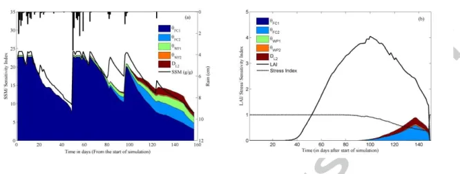 Figure 7: Temporal variations of (non-normalized) Sobol’ main sensitivity indices of (a) SSM  and  (b)  LAI  to  soil  hydraulic  parameters  and  2 nd   layer  depth  during  the  entire  simulation  period for one plot of maize crop