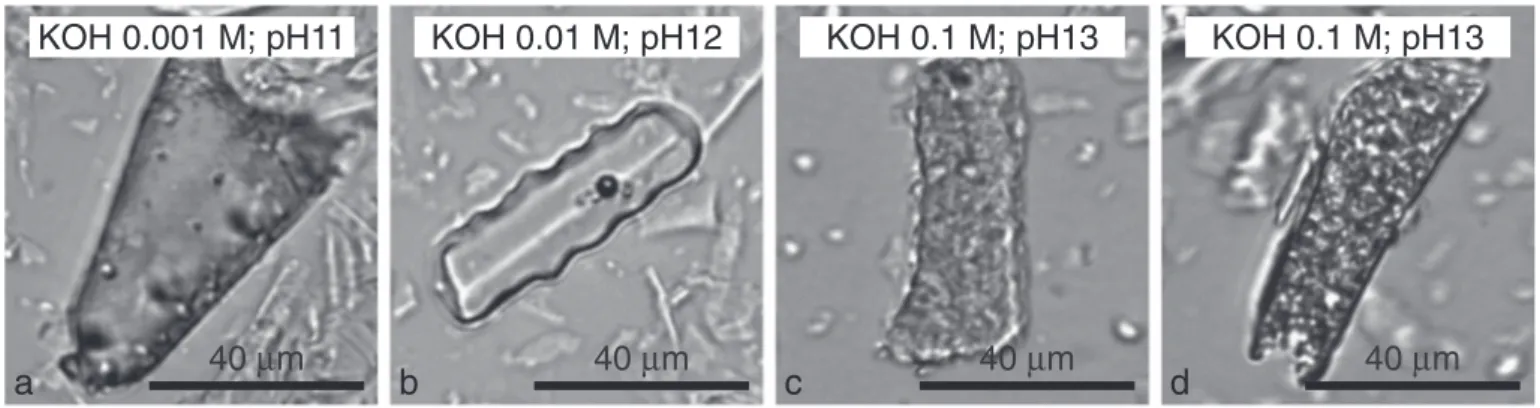 Fig. 4. Optical microscopy images of phytoliths obtained after Protocol 2 using three concentrations of KOH: (a) 0.001 M @ pH11; (b) 0.01 M @ pH 12; (c) and (d) 0.1 M @ pH 13.