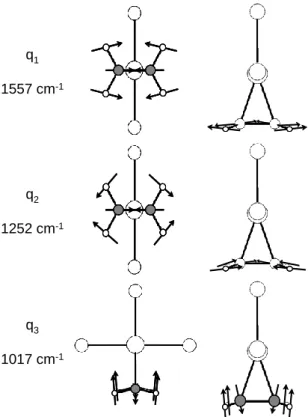 Figure 4. Two orthogonal views of the calculated normal modes q 1 , q 2  and q 3  for the anion of 1