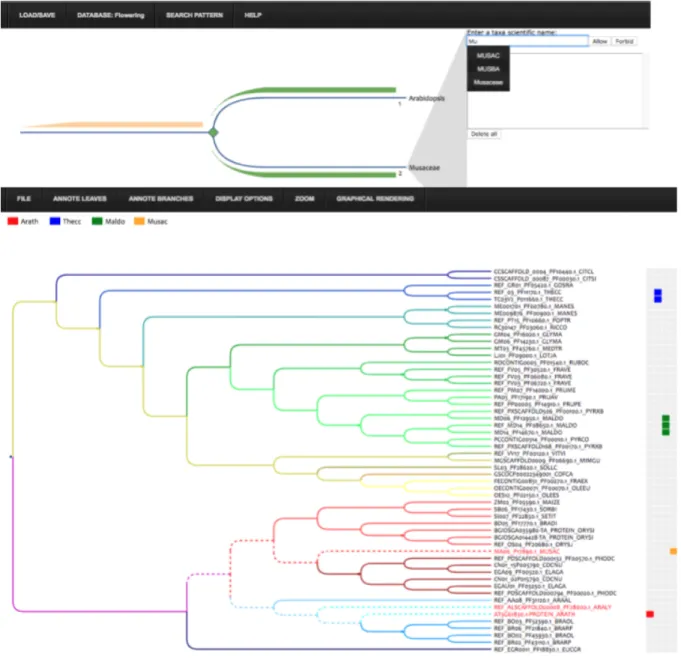 Fig. 1. On the top, the tree pattern edition interface, which allows to define an evolutionary scenario and search  it on a phylogenetic tree collection