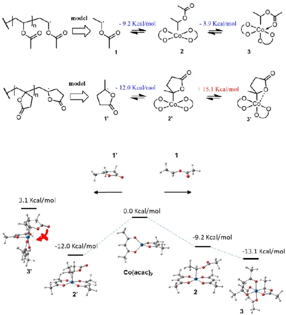 Figure 5. DFT calculation of the bond dissociation enthalpies for the MBL-Co(acac) 2  and  VAc-Co(acac) 2  model species