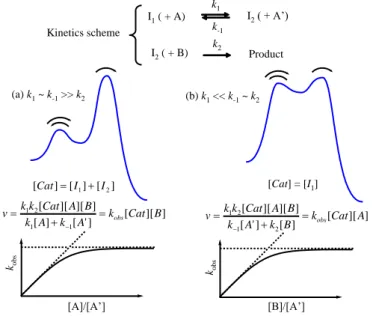 Figure 9.    Rate laws for two limiting cases of the same single-intermediate kinetics scheme