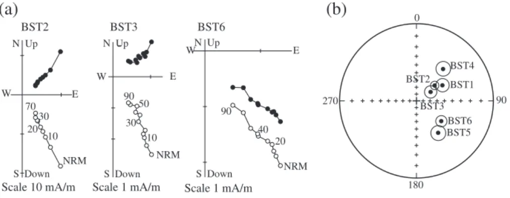 Fig. 9. Bestouan magnetic data. Orthogonal projection plots (a) of stepwise alternating ﬁeld (AF) demagnetization data of Bestouan samples (location of samples is shown inFig