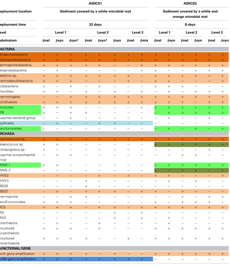 Table 3 | Microbial composition determined per level, substratum and module.