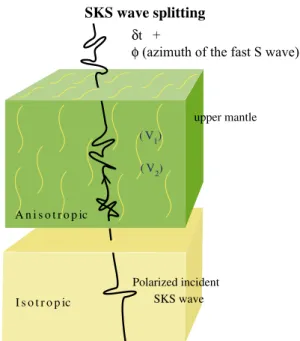 Fig. 8. Principle of seismic shear-wave splitting due to anisotropy (see text).