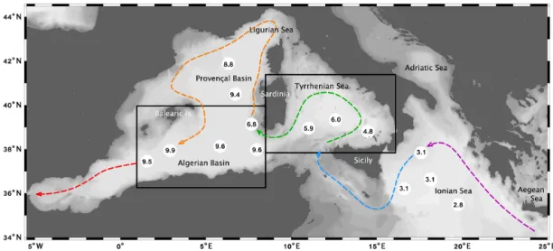 Figure 1. Pathway of LIW in the western Mediterranean (dashed line), crossing the two geographical areas under study (black boxes).