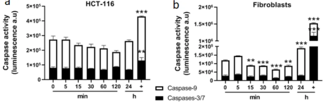 Figure 7. Determination of caspases’ activities after 5 mM calcium electroporation in HCT-116 tumor  cells (a) and normal dermal fibroblasts (b)