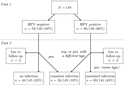 Figure 4: Flowchart showing the visits and the outcome of the HPV detection and typing tests.