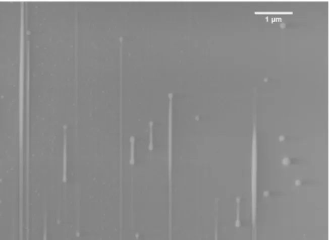 Figure 4: SEM image (secondary electrons) of the Mg2 fiber. The drawing axis is vertical