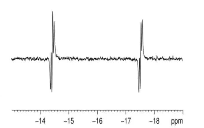 Figure 4. p-H 2  enhanced  1 H NMR spectrum showing the hydride region of  12 observed during reaction of 1 in d 4 -methanol with p-H 2  and acetonitrile 