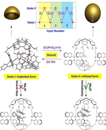Figure 3. Graphical representation of the hemicryptophane cage switching between its bi-stable states, that is, imploded and inflated conformations, with external inputs