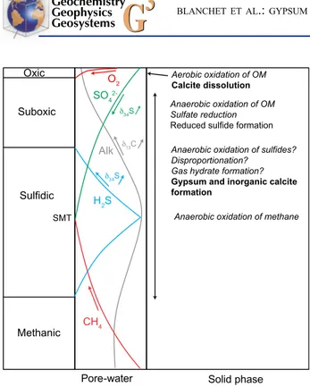 Figure 7. Schematic sediment column for core site MD02-2520, with (right column) geochemical zonation, (center) pore water chemical profiles (central column), with diffusion directions (arrows) and changes in  isoto-pic composition, and (left column) trans