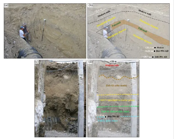 Figure 9.  Stratigraphic sections T1 and T2 (a, c) with their paleoenvironmental interpretation and dating (b, d).