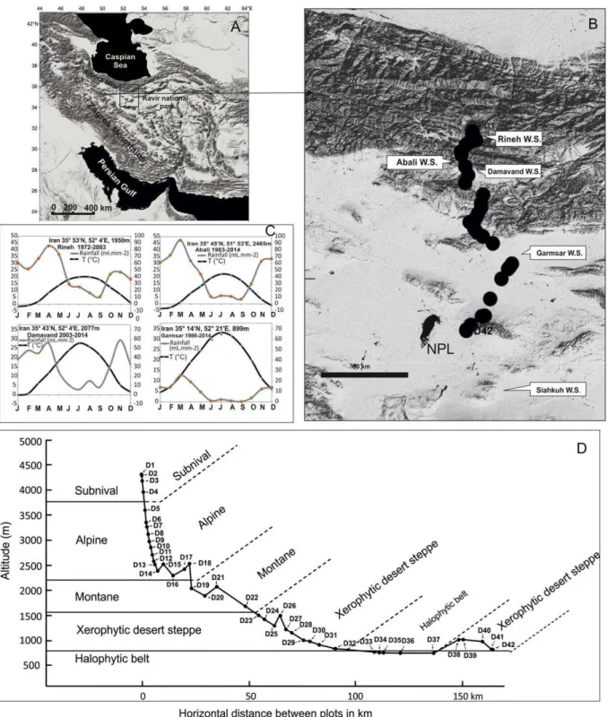Fig. 1. A. Location of the pollen-vegetation transect from Damavand Volcano to Salt Playa Lake (Daryacheye Namak) in Central Iran