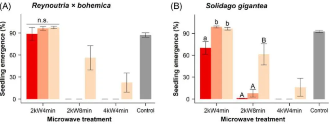 Figure  3.  Effect  of  position  of  seeds  in  the  soil  on  seedling  emergence  percentages  of  (A)  Reynoutria  ×  bohemica  and  (B)  Solidago  gigantea  without  microwave  treatment  (control)  and  after  microwave  treatment  (2kW4min, 