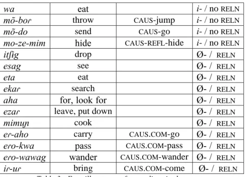 Table 3 : Emerillon types of gerundives in the corpus 