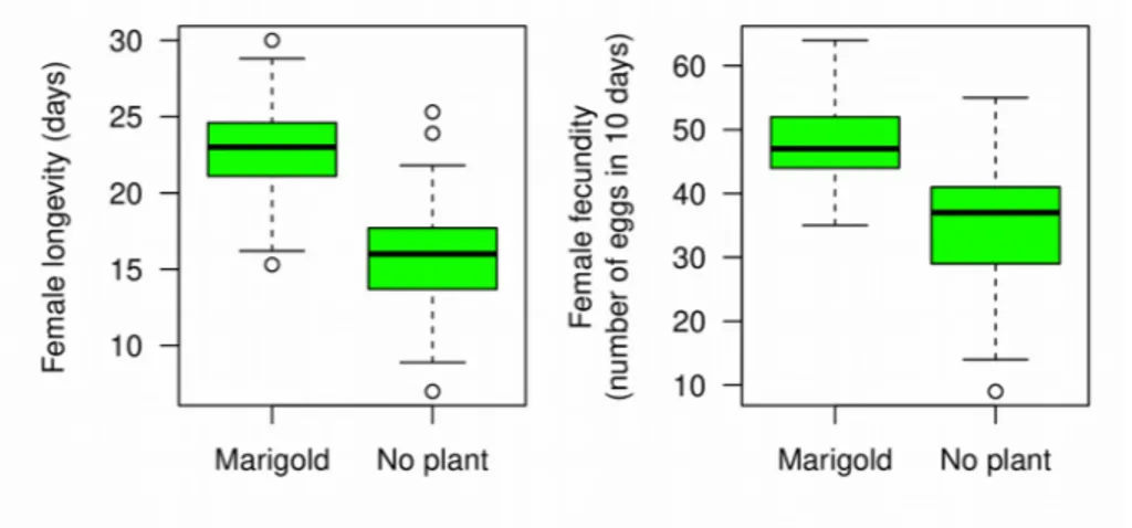 Fig. S1.   Longevity (left) and fecundity (right) of  P. japonica  females fed with  Myzus persicae alone or in addition to flowering C