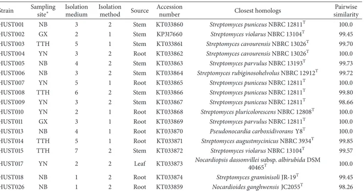 Table 4: Isolation and characterization profile of the 17 selected endophytic Actinobacteria