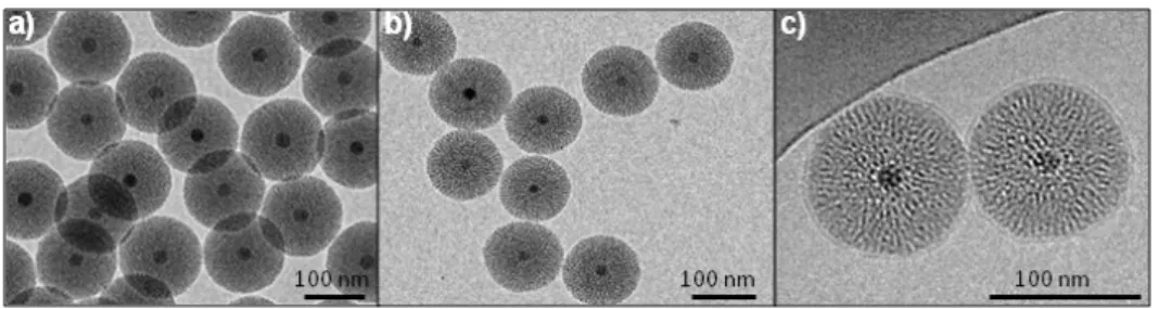 Figure 1. TEM and cryoTEM images of the nanoparticles (NPs); (a) Native magnetic mesoporous  silica core-shell nanoparticles (Fe 3 O 4 @MSN); (b) polyethylene glycol (PEG) Fe 3 O 4 @MSN; (c)  1,2-dimyristoyl-sn-glycero-3phosphocholine (DMPC) Fe 3 O 4 @MSN 