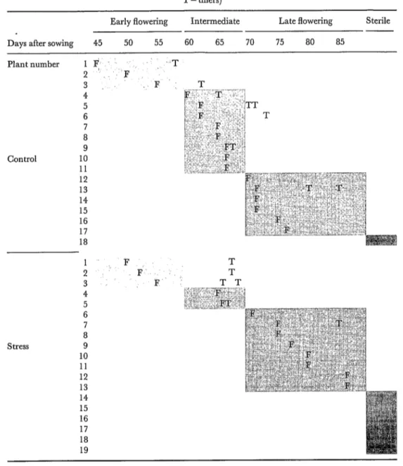 Table  2.  Flowering of  millet  plants  in  the  control  and  stress  treatments  on-station