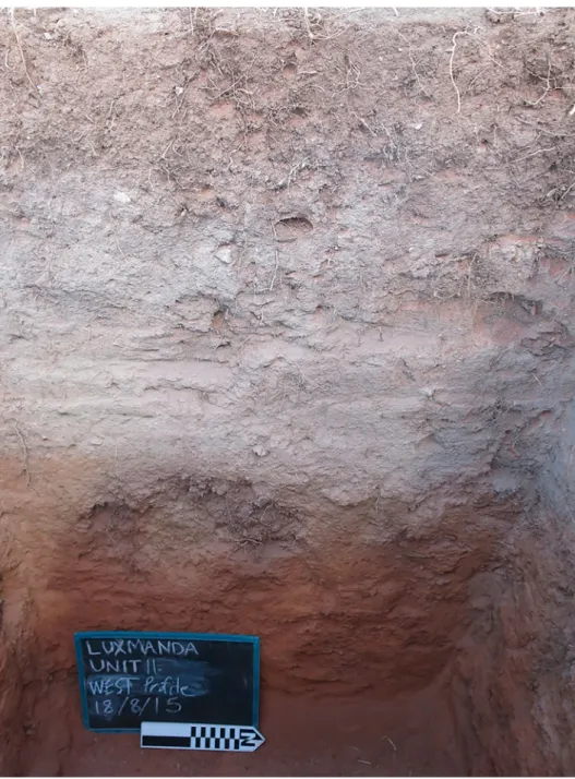 Figure 8. Photograph of west profile of Unit 11 showing thick, ash-like dung deposit.