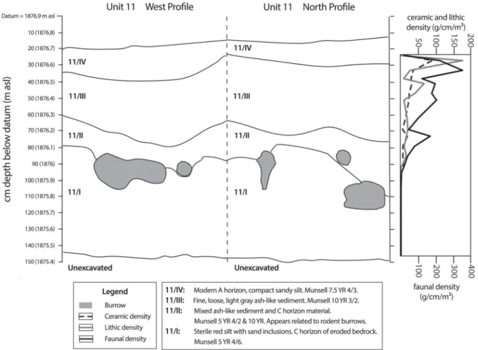 Figure 9. Unit 11 north and west profiles, with Unit 11 artifact densities by depth.