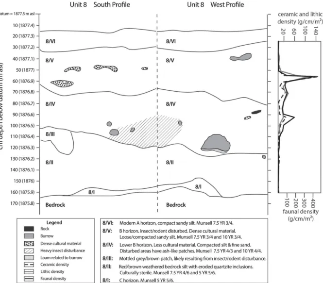 Figure 5. Unit 8 south and west profiles, with Unit 8 artifact densities by depth.