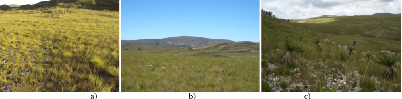 Figure 2 Ward clustering of a matrix of chord distances among sites (species data). Sa- = sandy campo rupestre grass- grass-lands and St- = stony sandy campo rupestre grassgrass-lands