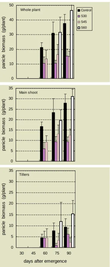Figure 5. Seasonal variations in panicle biomass (vertical bars show one standard- standard-error)