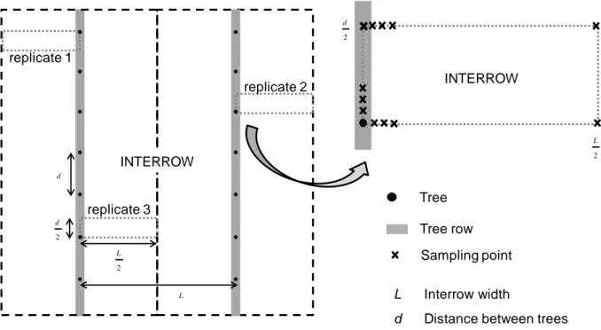 Figure 1. Soil sampling scheme in the agroforestry plots. 