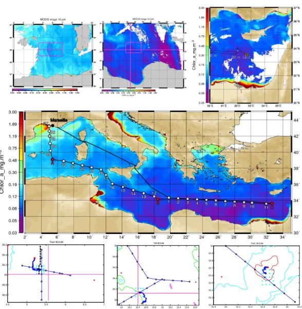 Fig. 2. Middle: transect of the BOUM cruise superimposed on a SeaWiFS composite image of Chl a concentration in the upper layer of the MS between 16 June and 20 July 2008