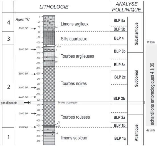 Figure 256 - Occurrences des Coléoptères forestiers et des Coléoptères phytophages oligophages dans la séquence de Coléoptères fossiles de la boucle d’Anneville