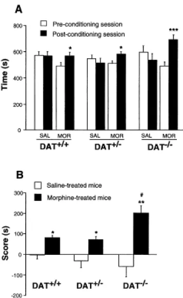 Figure  1.  Morphine-induced  conditioned  place  preference  in  DAT+/+,  DAT+/-  and  DAT-/-  mice.